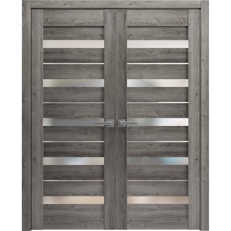 Sartodoors Sturdy Dbl Barn Door 36 x 80in, Matte Black Clear Glass, Stainless Steel 13FT Rail Hangers Heavy Set LUCIA2166DB-S-BLK-36